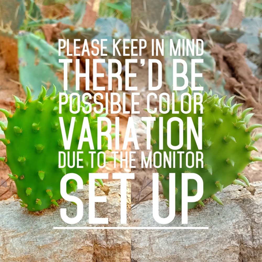 A Friendly Reminder 🙂